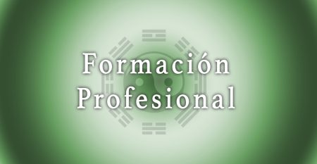 Formacion profesional